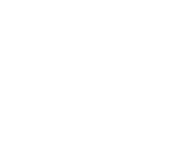 Violeta Escuela de Danza